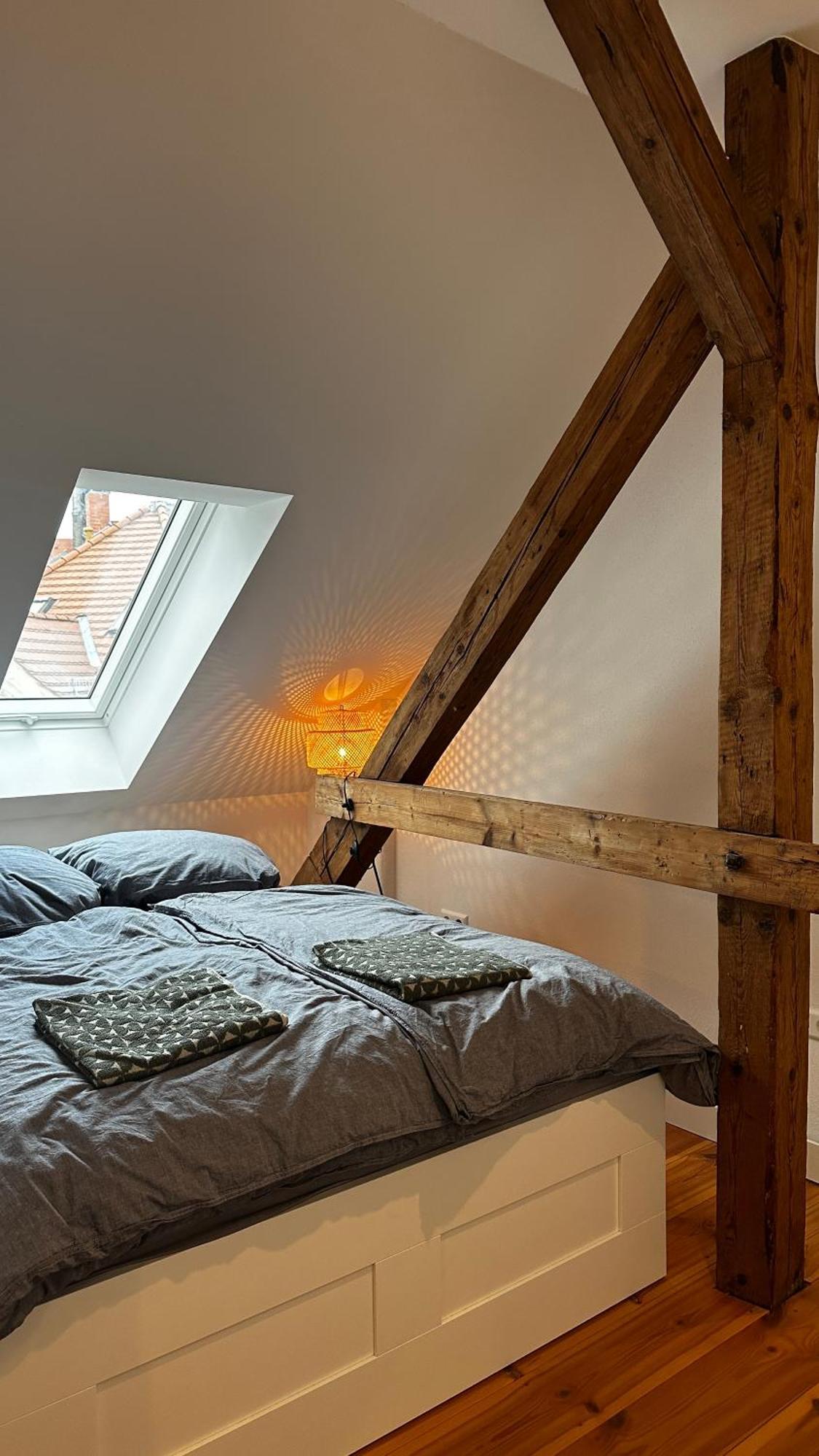 Ruhige-Moderne Wohnung Mit Burgblick Meißen Eksteriør billede